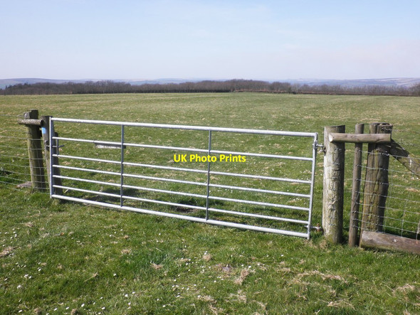 Photo 6"x4" Gateway, on Lype Hill Wheddon Cross c2012