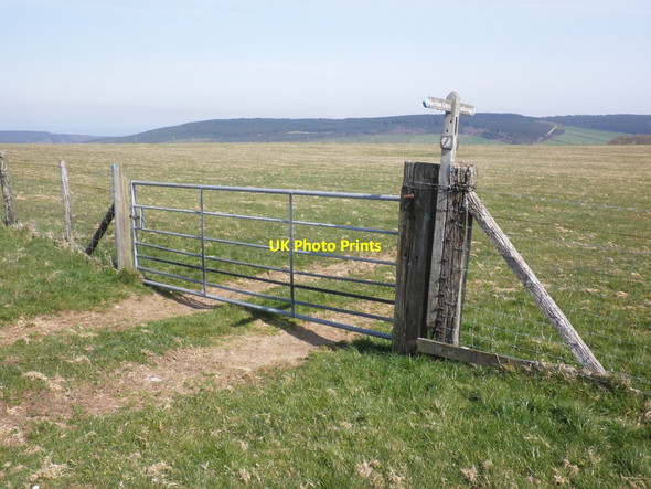 Photo 6"x4" Gateway and signpost, on Lype Common Churchtown\/SS9738 c2012