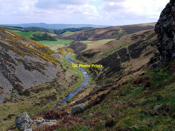 Photo 6"x4" Carey Burn Middleton Hall\/NT9825 c2012