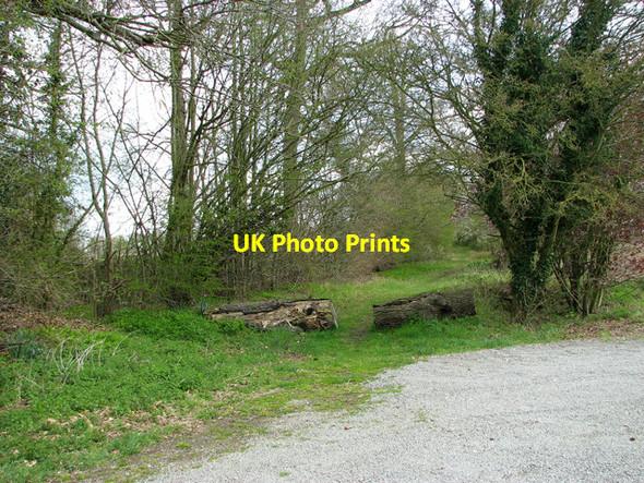 Photo 6"x4" Foxcombs Lane - footpath to Long Paradise Plantation Thornham Magna c2012