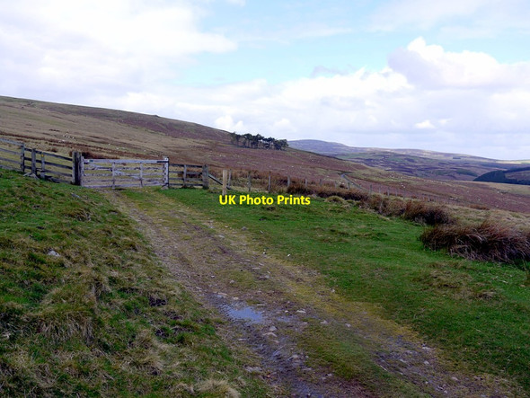 Photo 6"x4" Track on Snear Hill Middleton Hall\/NT9825 c2012