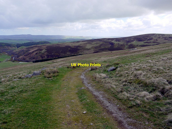 Photo 6"x4" Track on Snear Hill above Coronation Wood Middleton Hall\/NT9825 c2012