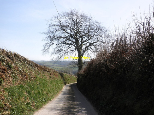 Photo 6"x4" Combshead Hill Brompton Regis c2012