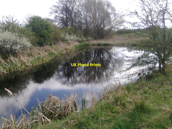 Photo 6"x4" Pond on the Knaresborough Round Ferrensby c2012