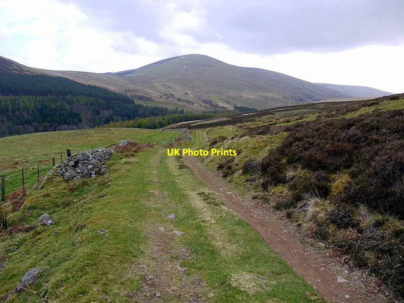 Photo 6"x4" Track to Harthope valley Harthope Burn\/NT9522 c2012