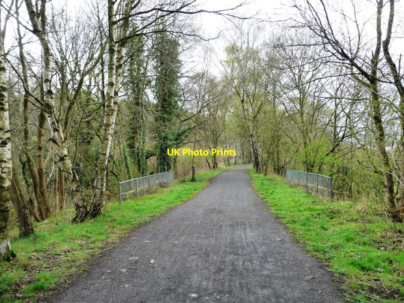 Photo 6"x4" The Derwent Walk, a former railway line Rowlands Gill c2012