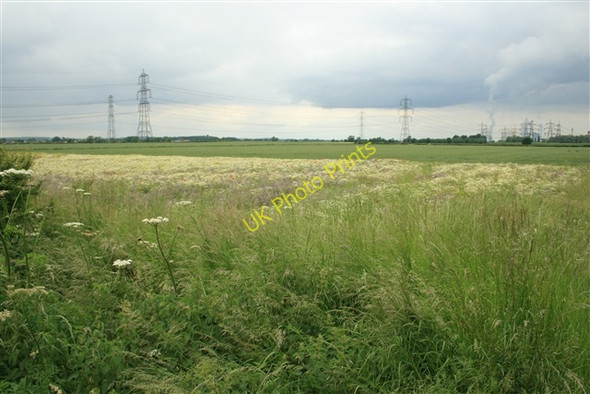 Photo 6"x4" Field margin, off Helenship Lane Church Laneham c0