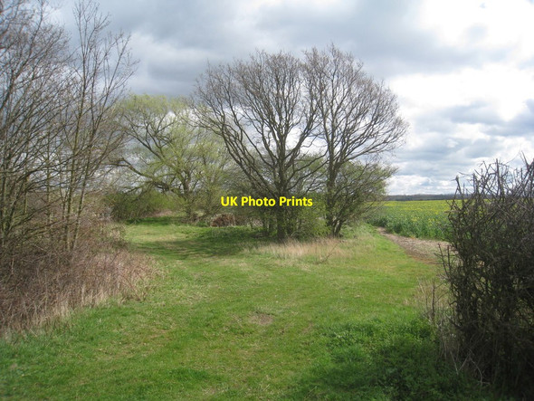 Photo 6"x4" The arrival of spring Redmile c2012