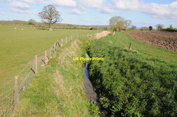 Photo 6"x4" Billow Brook Tumpy Green c2012