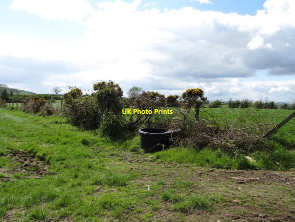 Photo 6"x4" View south-westwards from the bend across farmland Rathfriland c2012