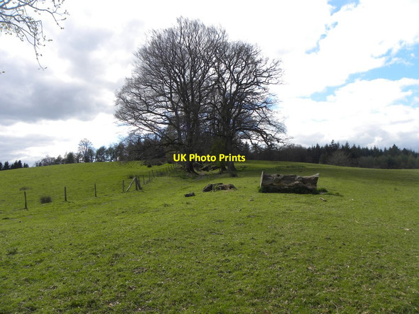 Photo 6"x4" Path near Stourhead Gasper c2012