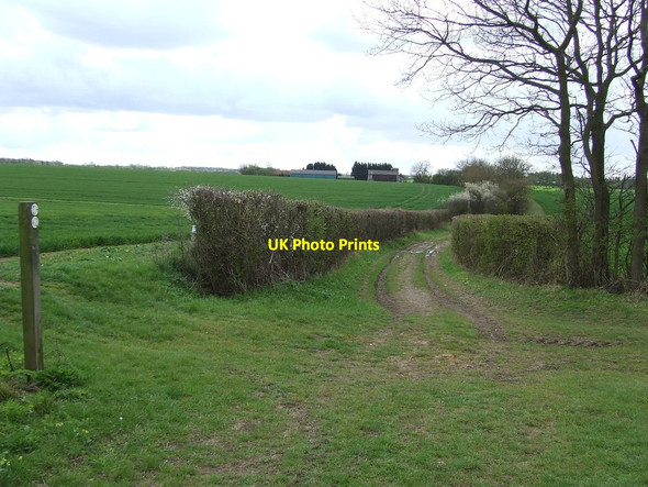Photo 6"x4" Footpath Junction Little Walden c2012