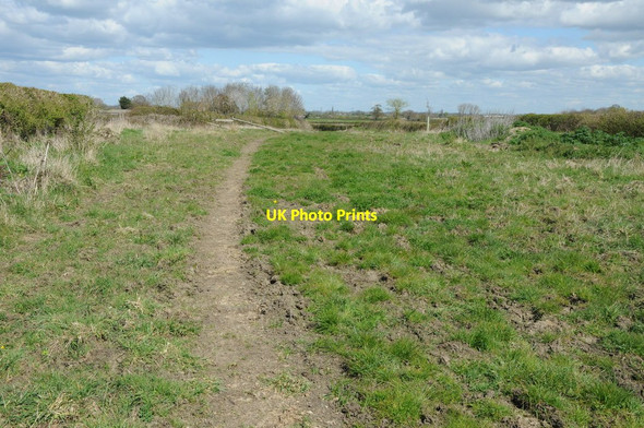 Photo 6"x4" Twyditch Lane Gossington c2012