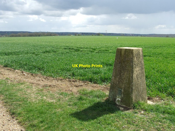 Photo 6"x4" Trig Point Ashdon c2012