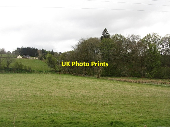 Photo 6"x4" Grassland near Kippen Cauldhame\/NS6494 c2012