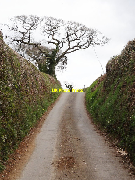 Photo 6"x4" The Road From Dean Cross Dean Prior c2012