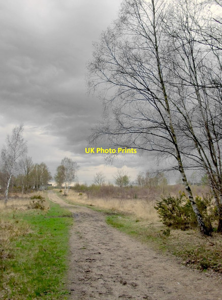 Photo 6"x4" Chobham Common on a showery April evening Burrowhill c2012