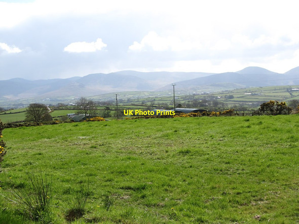 Photo 6"x4" Pasture land and hay sheds south of Tamary Road Hilltown\/J2128 c2012