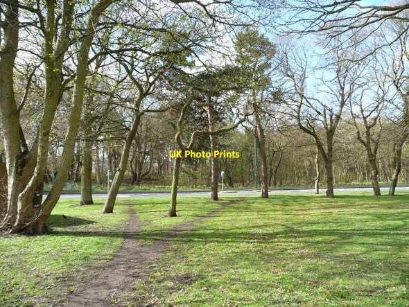 Photo 6"x4" Paths across open space, Tanfield Lea Stanley\/NZ1952 c2012