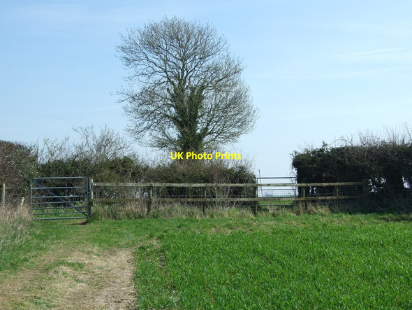 Photo 6"x4" Footpath Gates Milborne St Andrew c2012