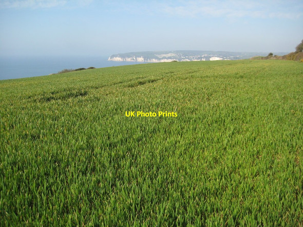 Photo 6"x4" Arable land above Haven Cliff Seaton\/SY2490 c2012