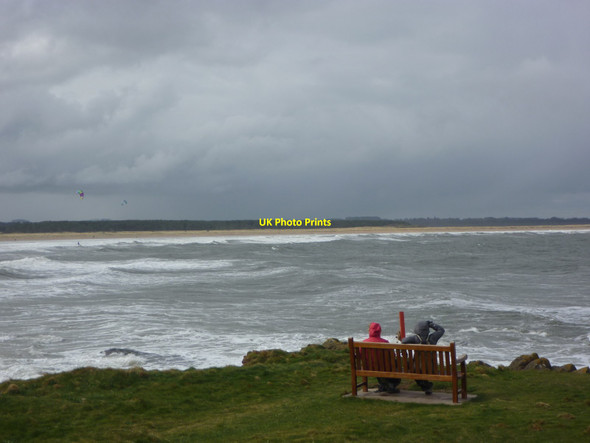 Photo 6"x4" Coastal East Lothian : Springtime at Winterfield Point, Belhaven Dunbar c2012