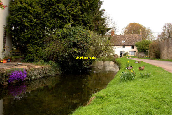 Photo 6"x4" The River Thames at Ashton Keynes Ashton Keynes c2012