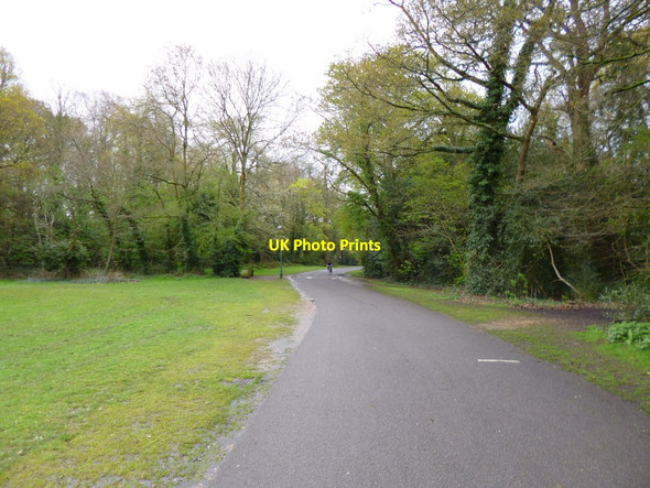 Photo 6"x4" Southampton Common, cycle route Southampton c2012