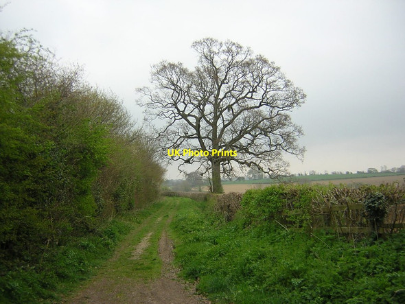 Photo 6"x4" Track leaving Montacute-Odcombe road at Odcombe Lodge Lufton c2012