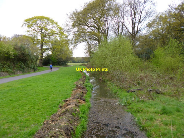 Photo 6"x4" Southampton Common, ditch Southampton c2012
