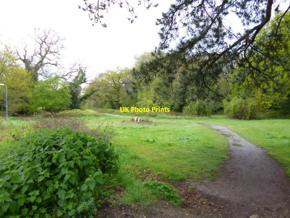 Photo 6"x4" Southampton Common, cycle route Southampton c2012 P1