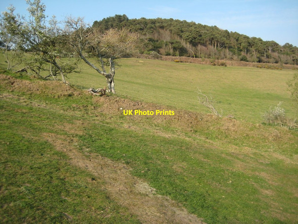 Photo 6"x4" Langdon Hill Chideock c2012