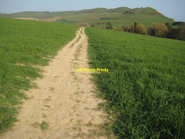 Photo 6"x4" Coast path at Seatown Seatown\/SY4291 c2012
