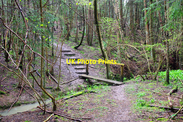 Photo 6"x4" Stream crossing, Willand Wood Balls Cross\/SU9826 c2012