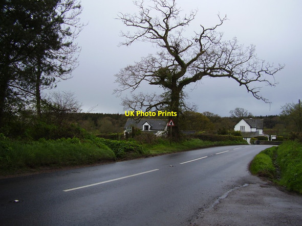 Photo 6"x4" Footpath near Canterbury Green Hawkerland c2012