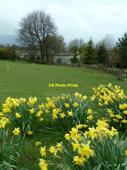Photo 6"x4" Brightgate Farm  Brightgate c2012
