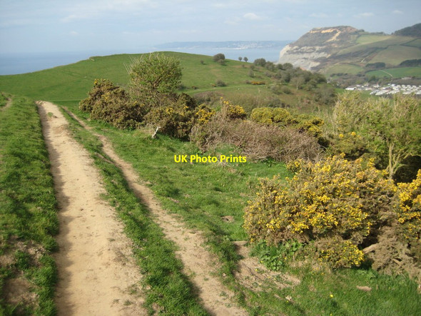 Photo 6"x4" Coast path on Doghouse Hill Seatown\/SY4291 c2012