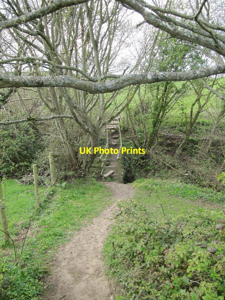 Photo 6"x4" Two stiles on the bridge Glastonbury c2012