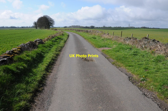 Photo 6"x4" Road to Bagpath Kingscote\/ST8196 c2012