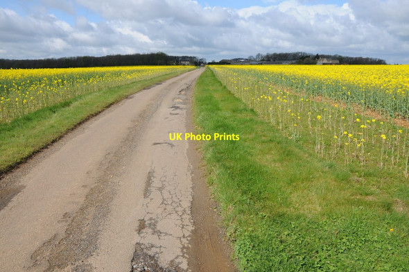Photo 6"x4" Road near Hazlecote Farm Lasborough c2012