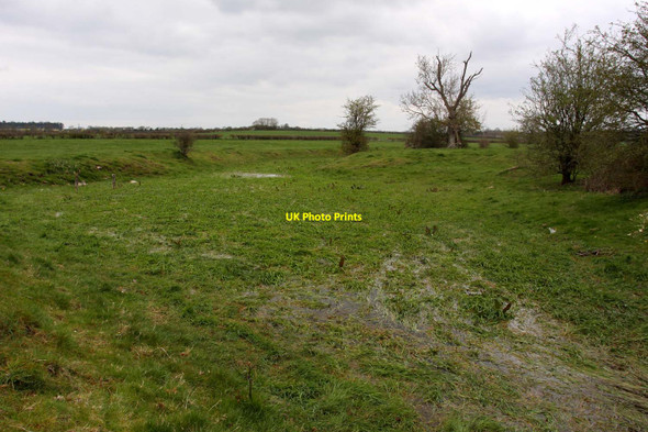 Photo 6"x4" The infant River Thames near Kemble Ewen c2012