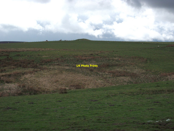 Photo 6"x4" Tomen y Meirw Bryn-newydd c2012