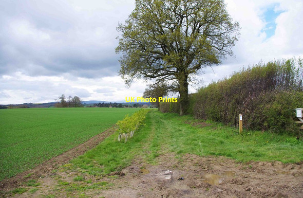 Photo 6"x4" The Upper Arley Circular Walk, near Upper Arley Nash End c2012