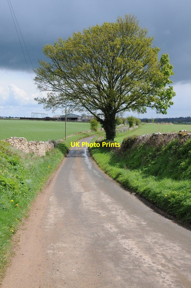 Photo 6"x4" Road out of Leighterton Leighterton c2012