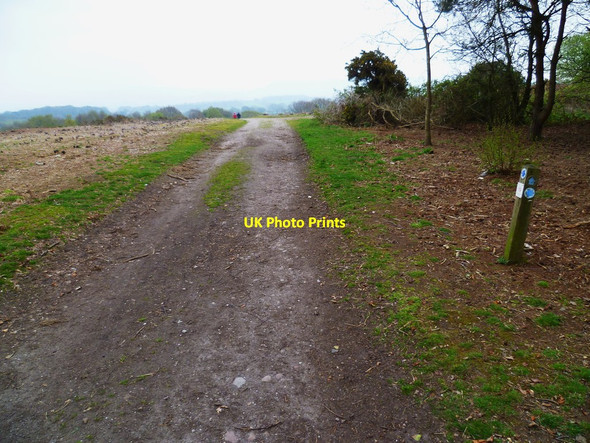 Photo 6"x4" Orange Way in Devon and Torbay (319) Hawkerland c2012