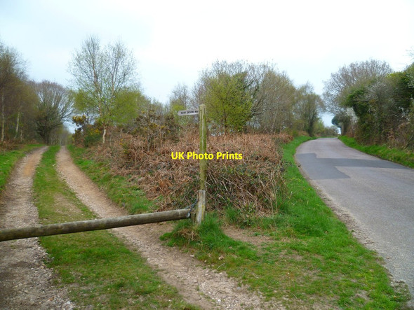 Photo 6"x4" Orange Way in Devon and Torbay (324) Hawkerland c2012