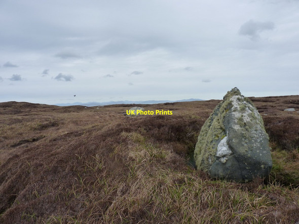 Photo 6"x4" Near the summit of Cleatrabhal a Tuath Hosta c2012