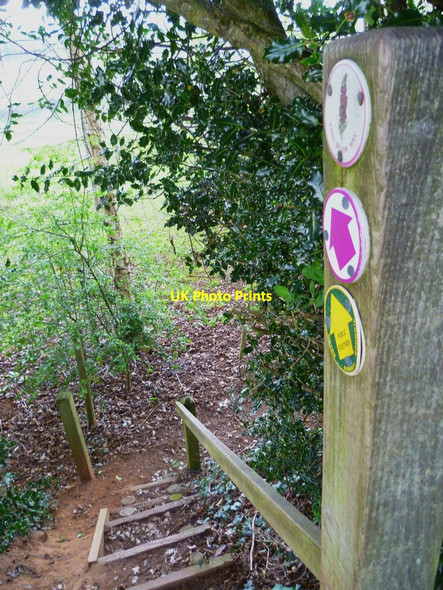 Photo 6"x4" Orange Way in Devon and Torbay (340) Southerton c2012