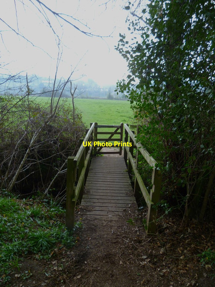 Photo 6"x4" Orange Way in Devon and Torbay (347) Harpford c2012