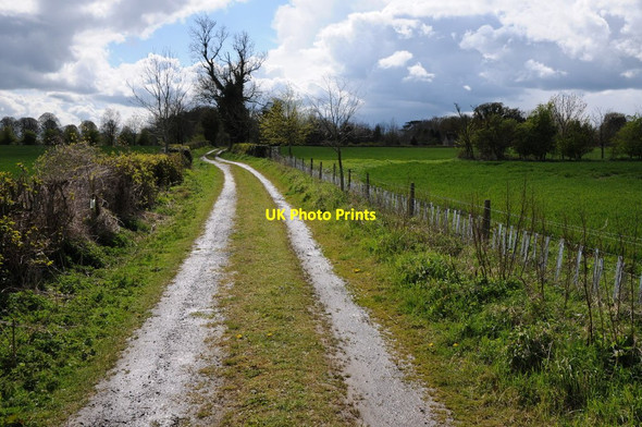 Photo 6"x4" Farm track to Tetbury Upton Tetbury c2012